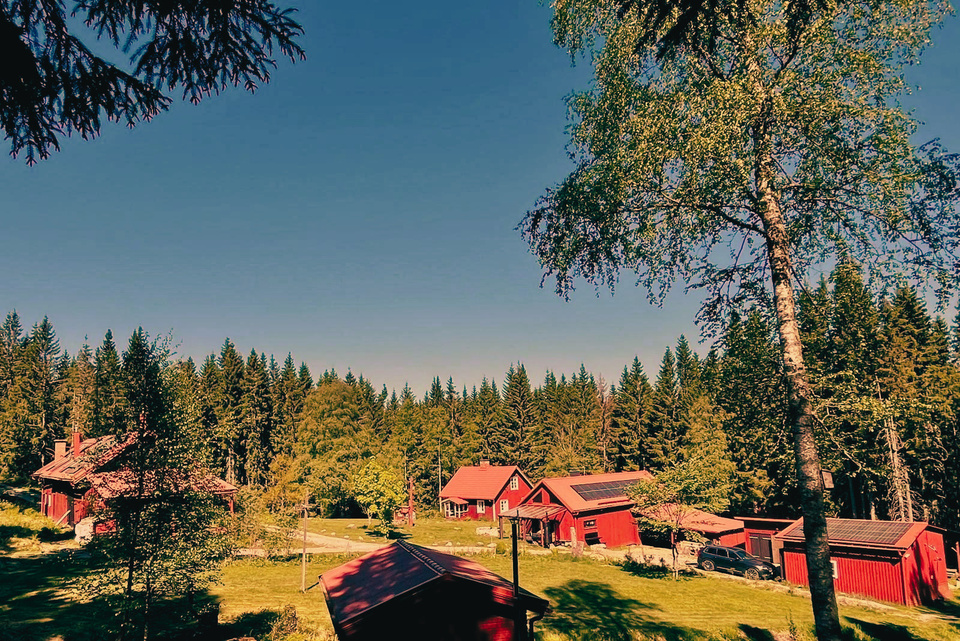 Traditionelle rote schwedische Holzhäuser im Wald
